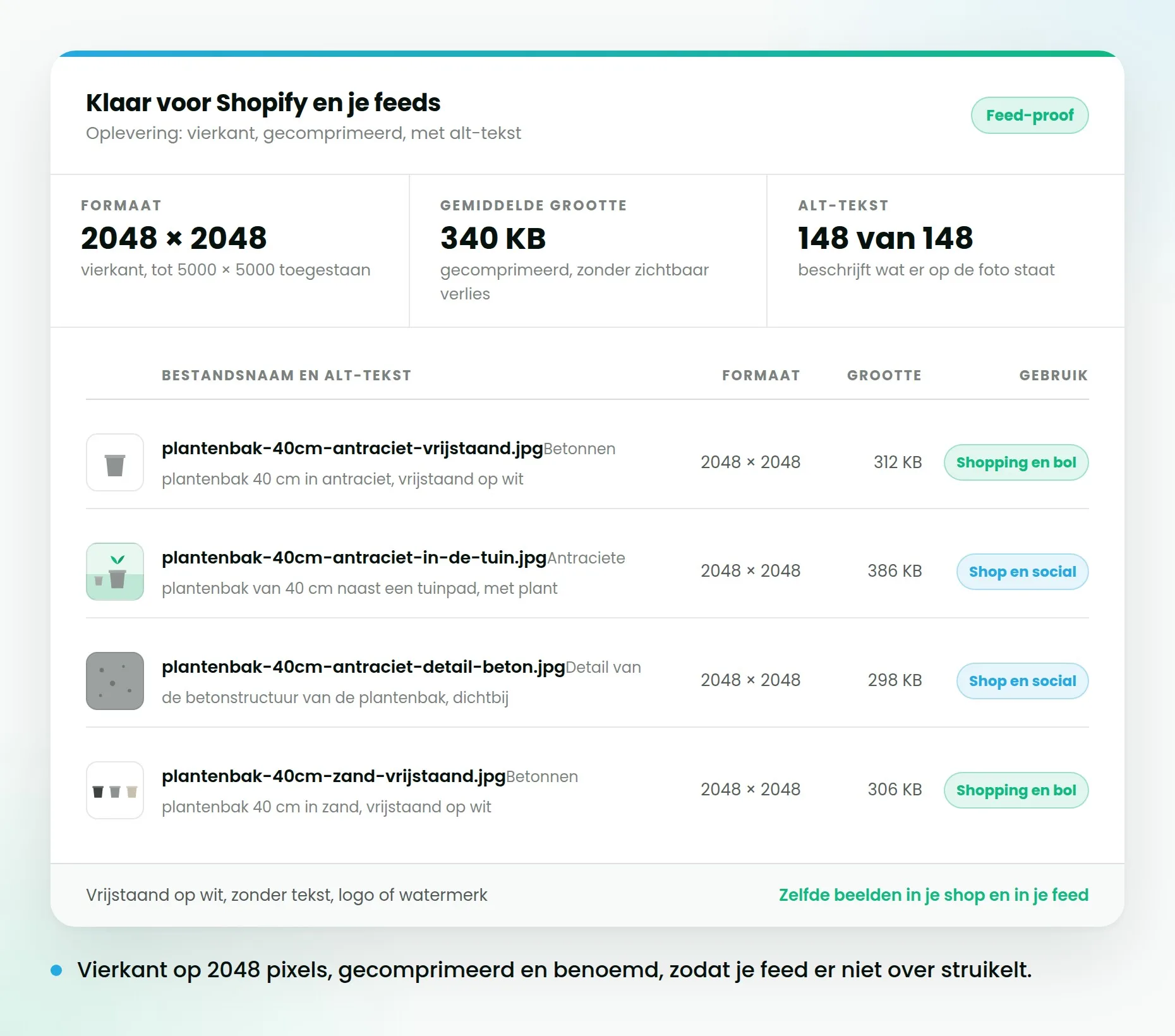 Bestandslijst met bestandsnaam, formaat en alt-tekst per foto, met een vinkje dat ze voldoen aan Google Shopping.