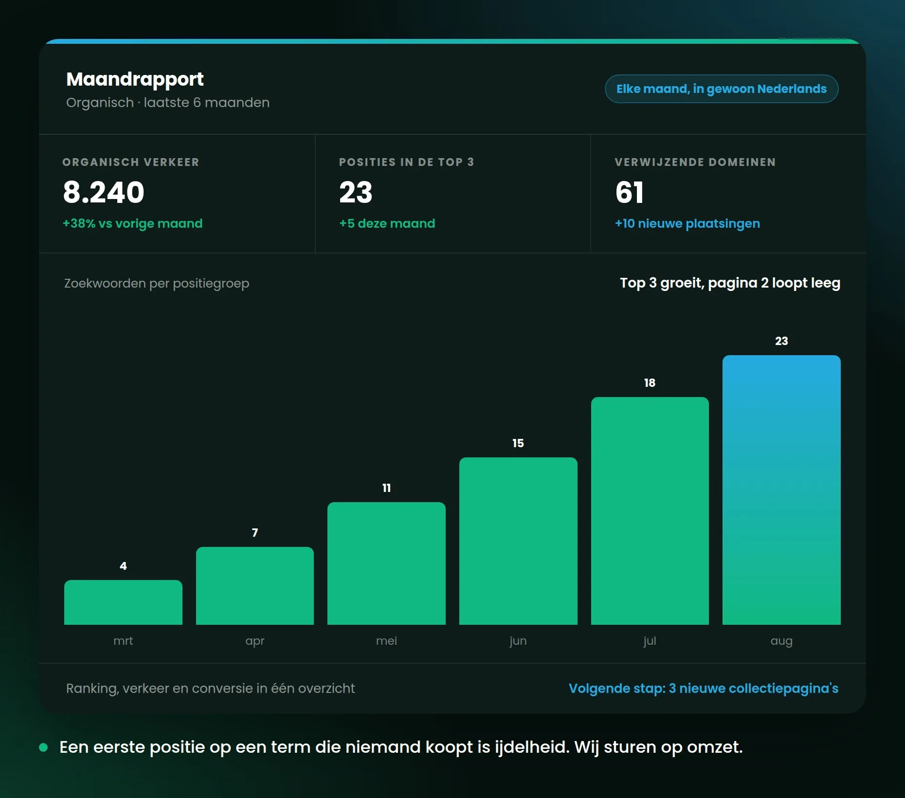 Rapportage met posities, organisch verkeer en conversies naast elkaar in één dashboard.